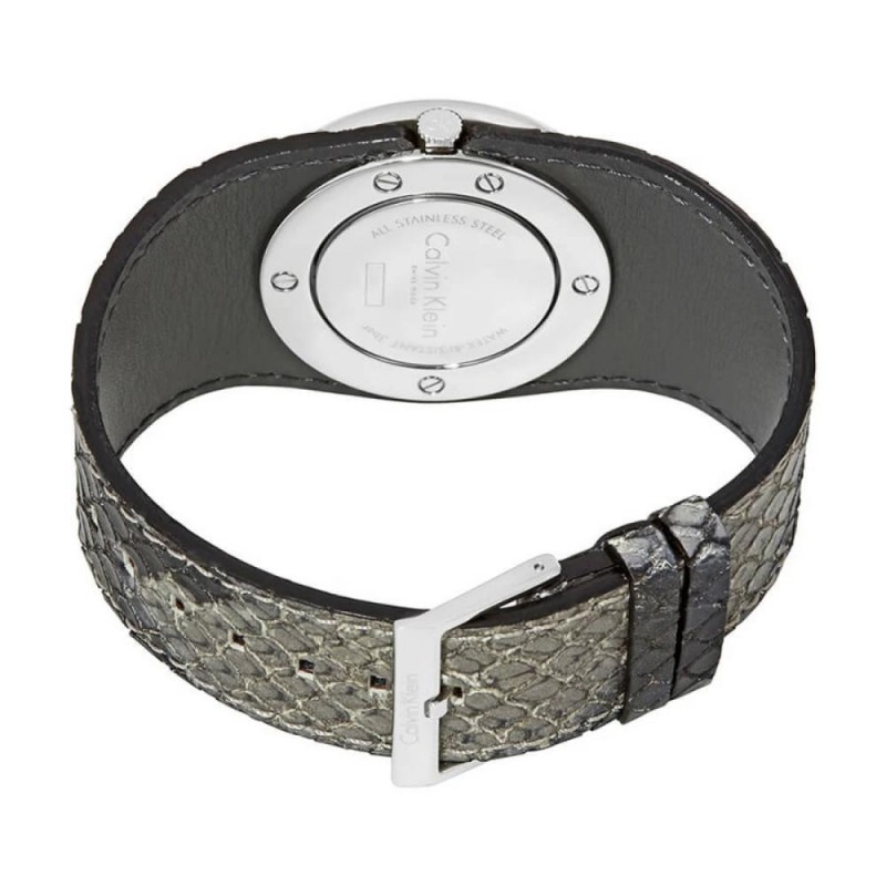 Calvin Klein Ladies Watch K5V231Q4